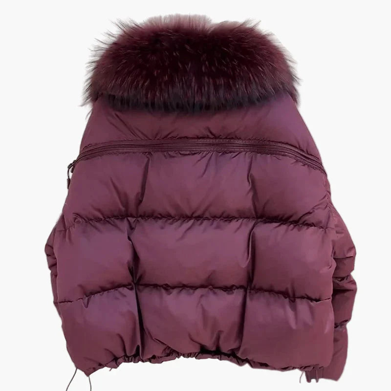 Damjacka Vinter Puffer med Stilig Pälsdetalj och Modern Design